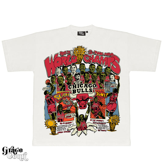1993 Chicago Bulls Champions