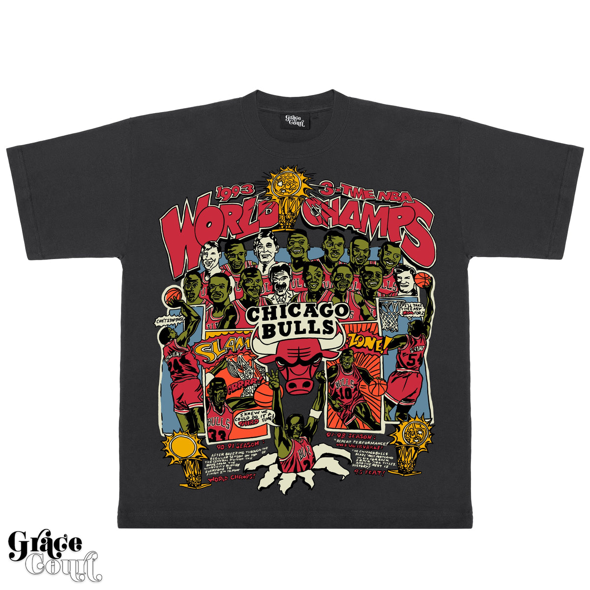 1993 Chicago Bulls Champions